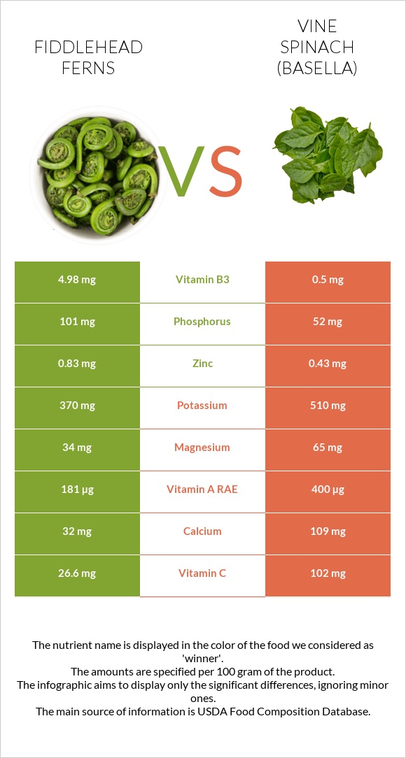 Fiddlehead ferns vs Vine spinach (basella) infographic