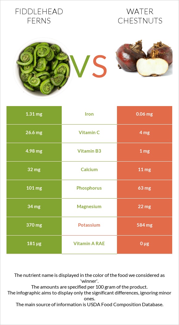 Fiddlehead ferns vs Water chestnuts infographic