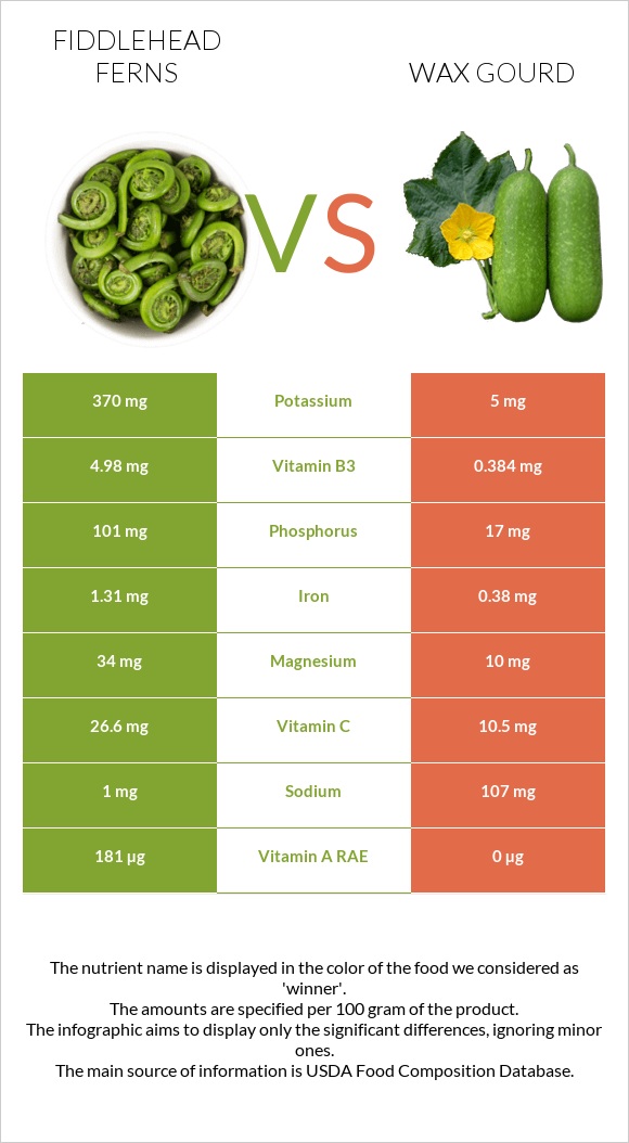 Fiddlehead ferns vs Wax gourd infographic