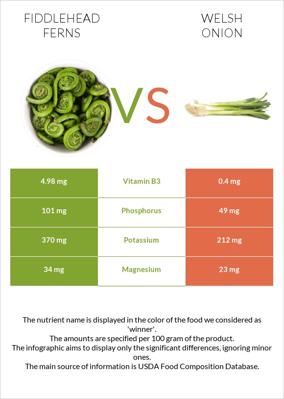 Fiddlehead ferns vs Welsh onion infographic