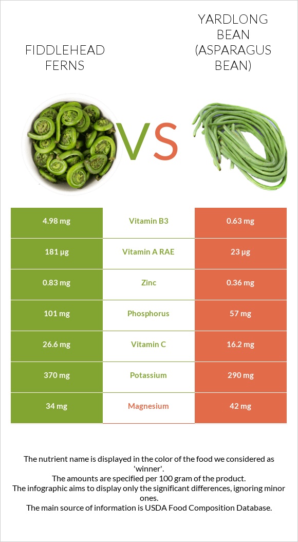 Fiddlehead ferns vs Yardlong bean (Asparagus bean) infographic
