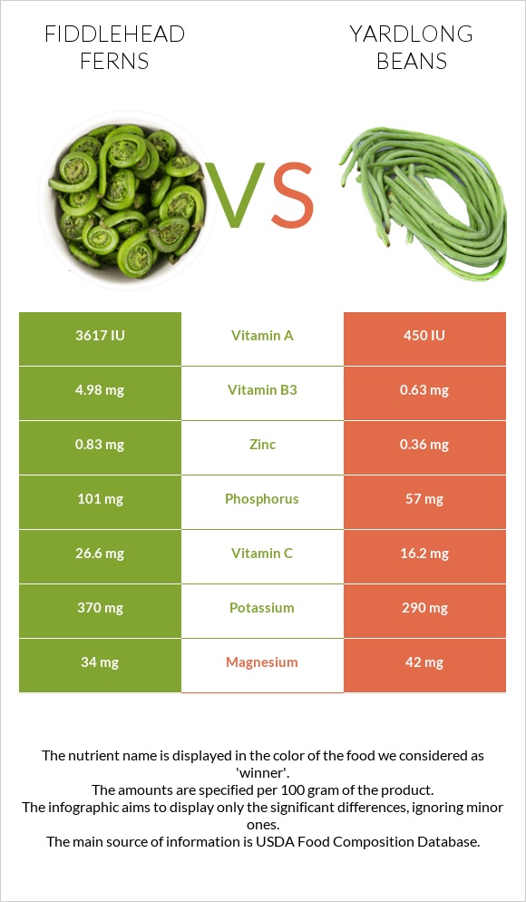 Fiddlehead ferns vs Yardlong beans infographic