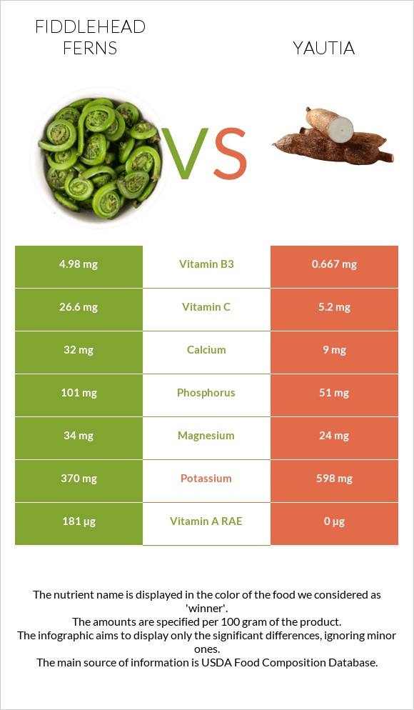 Fiddlehead ferns vs Yautia infographic