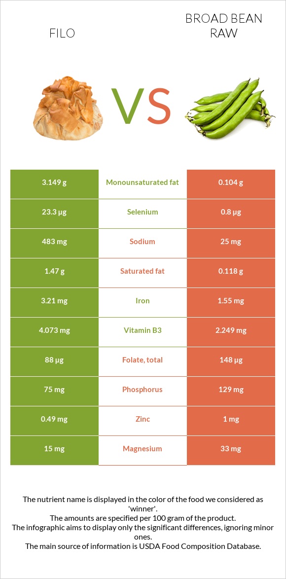 Filo vs Broad bean raw infographic