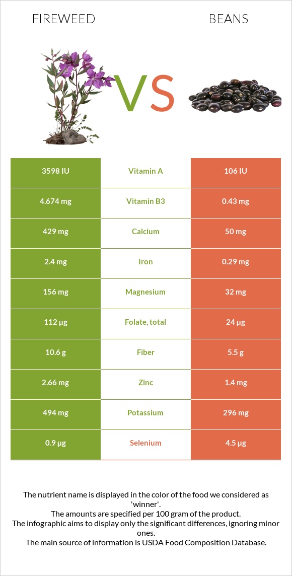 Fireweed vs Beans infographic