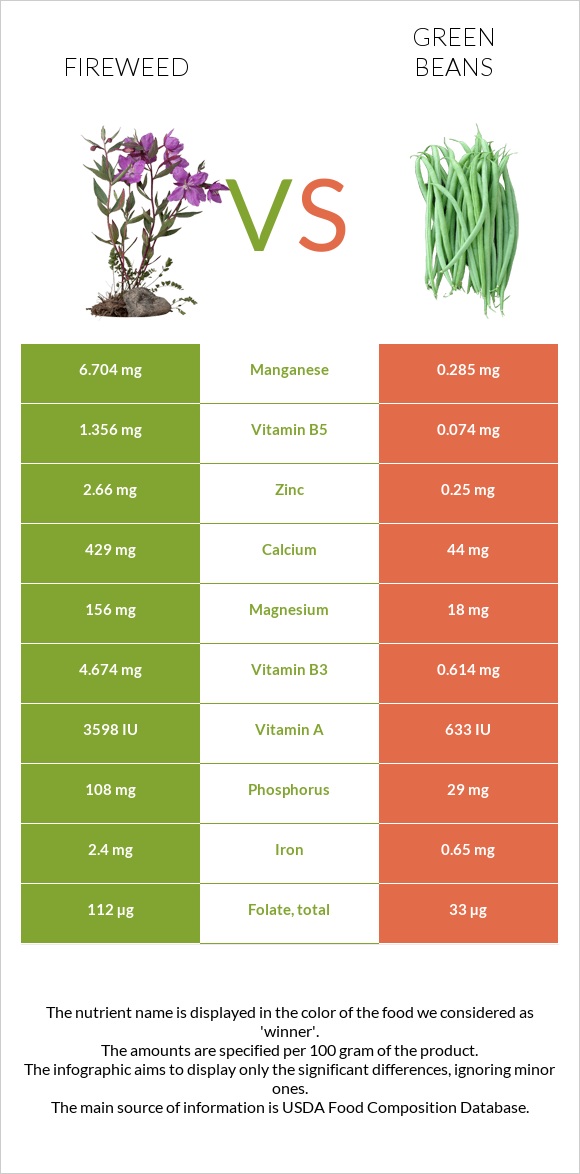 Fireweed vs Կանաչ լոբի infographic