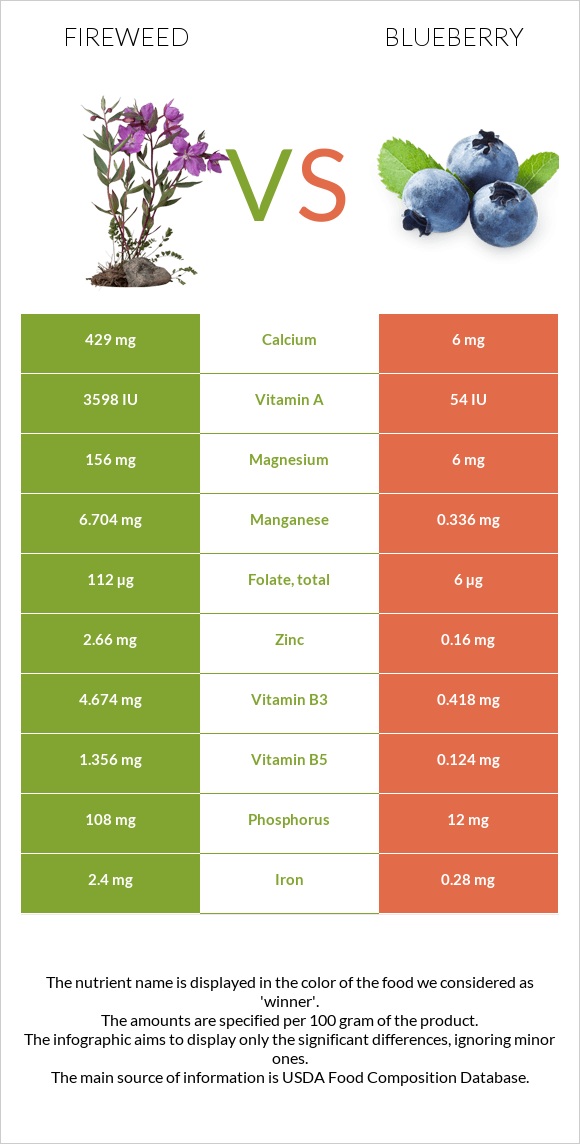 Fireweed vs Blueberry infographic