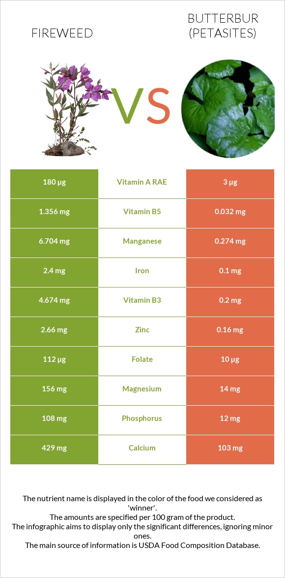 Fireweed vs Butterbur infographic