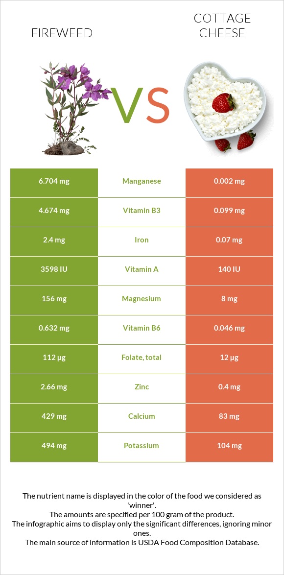 Fireweed vs Cottage cheese infographic