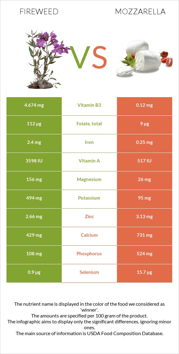 Fireweed vs Մոցարելլա infographic