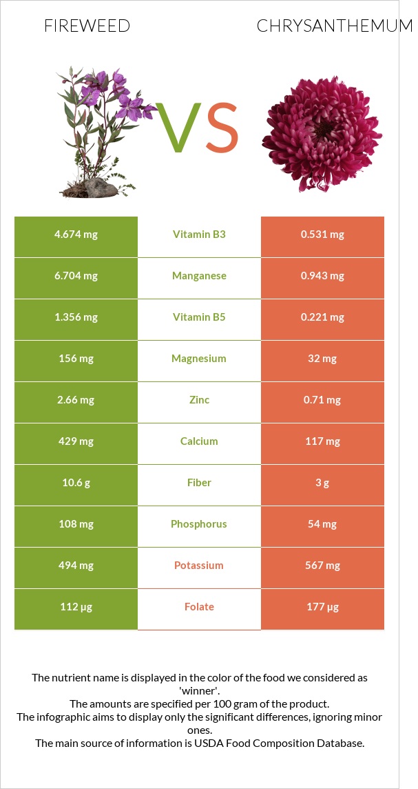 Fireweed vs Քրիզանթեմ infographic