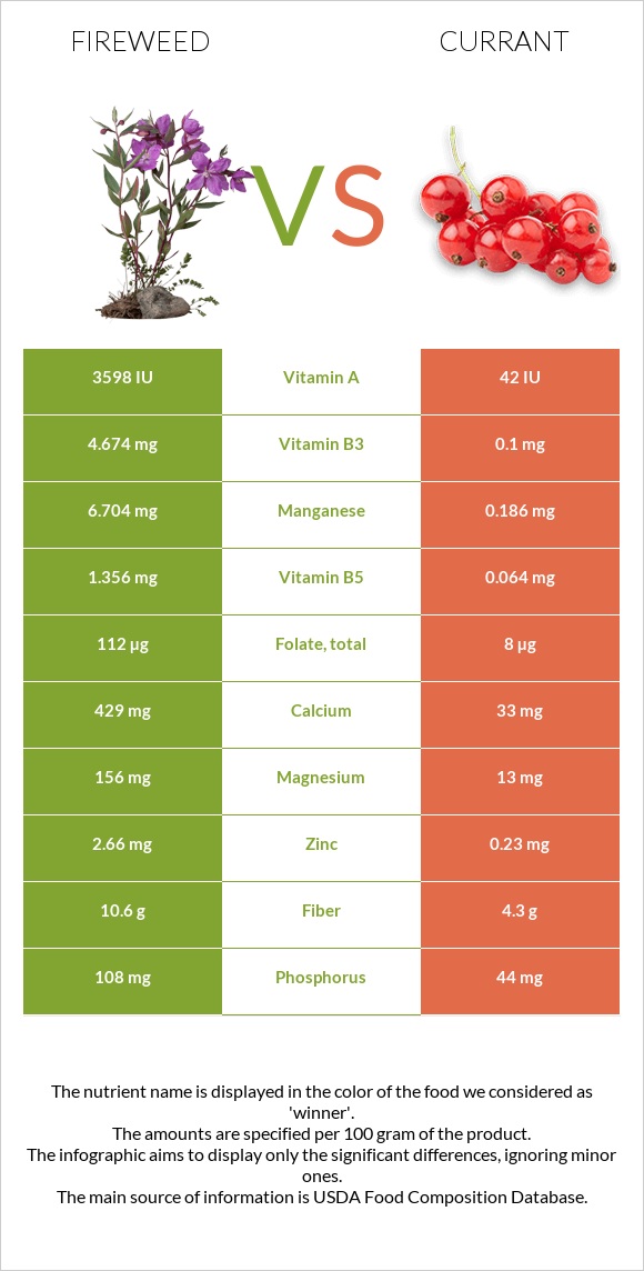 Fireweed vs Հաղարջ infographic