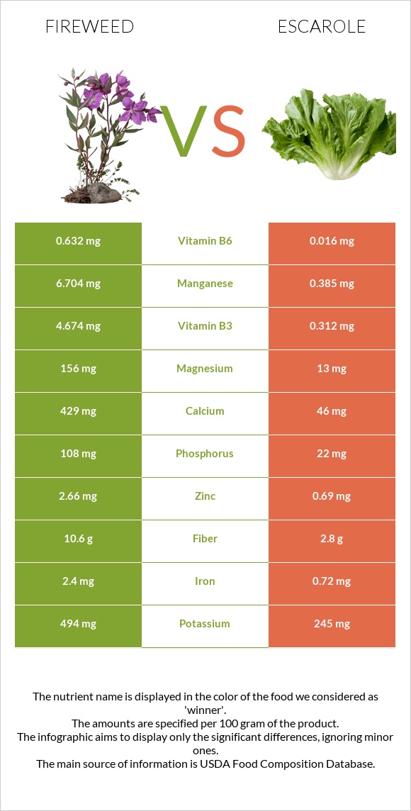 Fireweed vs Escarole infographic