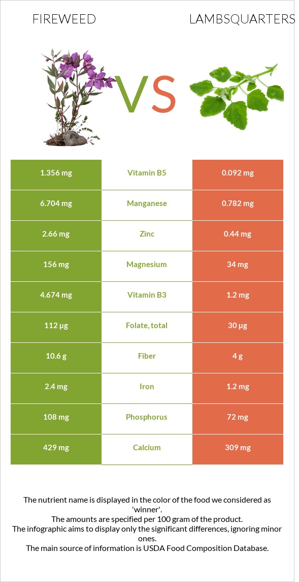 Fireweed vs Lambsquarters infographic