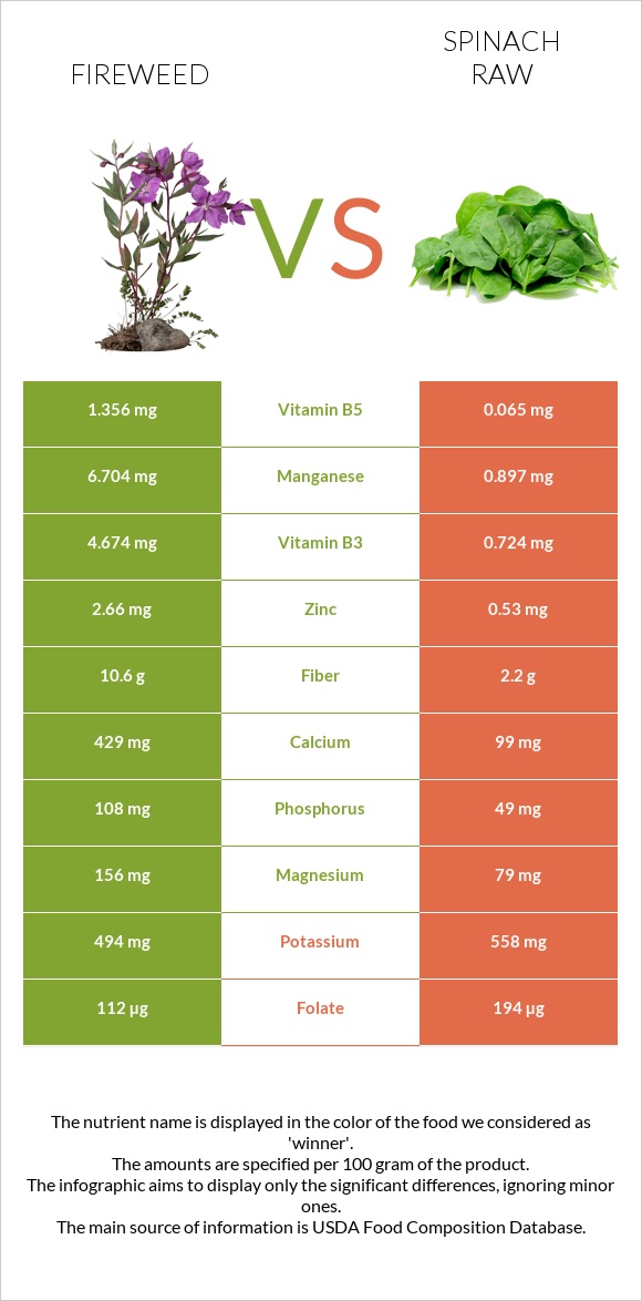 Fireweed vs Spinach raw infographic