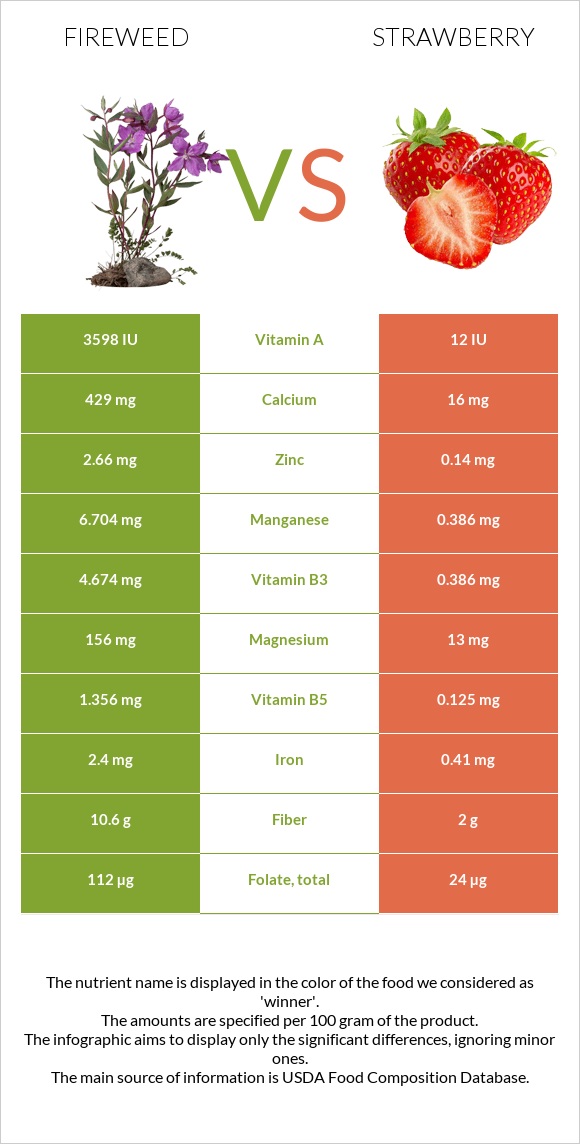 Fireweed vs Strawberry infographic