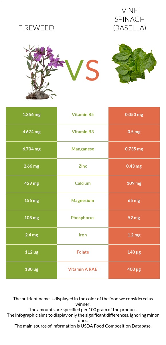 Fireweed vs Vine spinach (basella) infographic