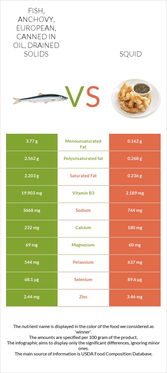 Fish, anchovy, european, canned in oil, drained solids vs Squid infographic