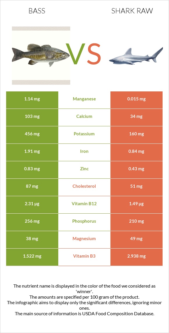 Bass vs Shark raw infographic