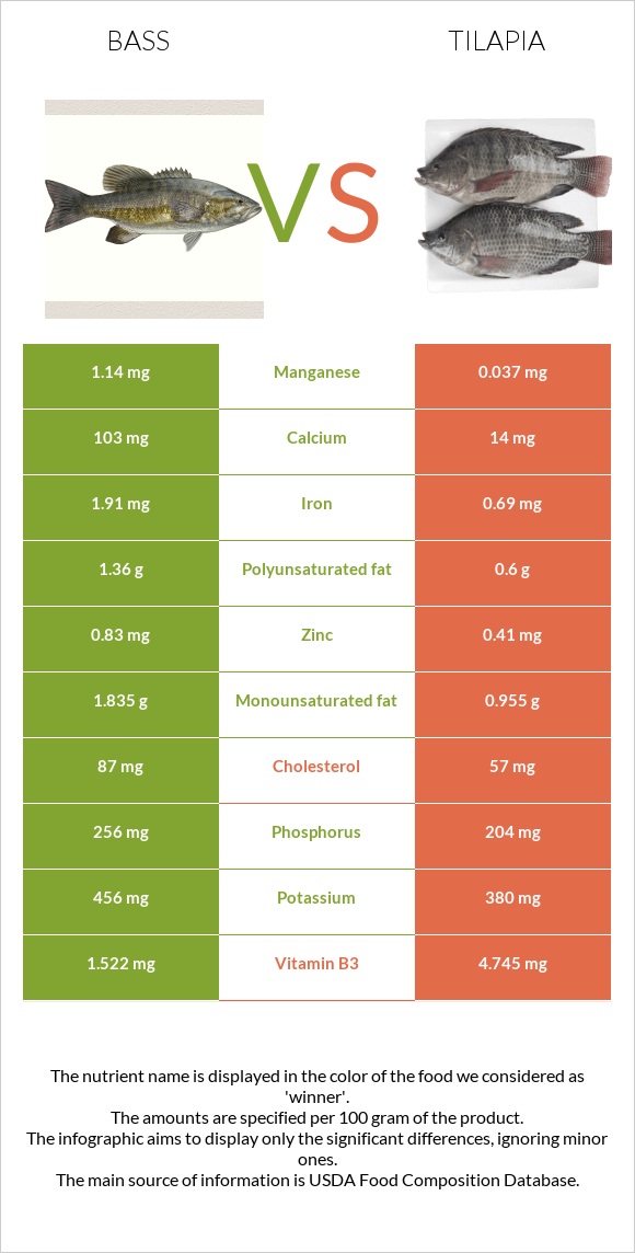 Bass vs Tilapia infographic