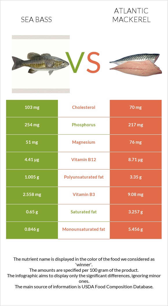 Bass vs Atlantic Mackerel infographic