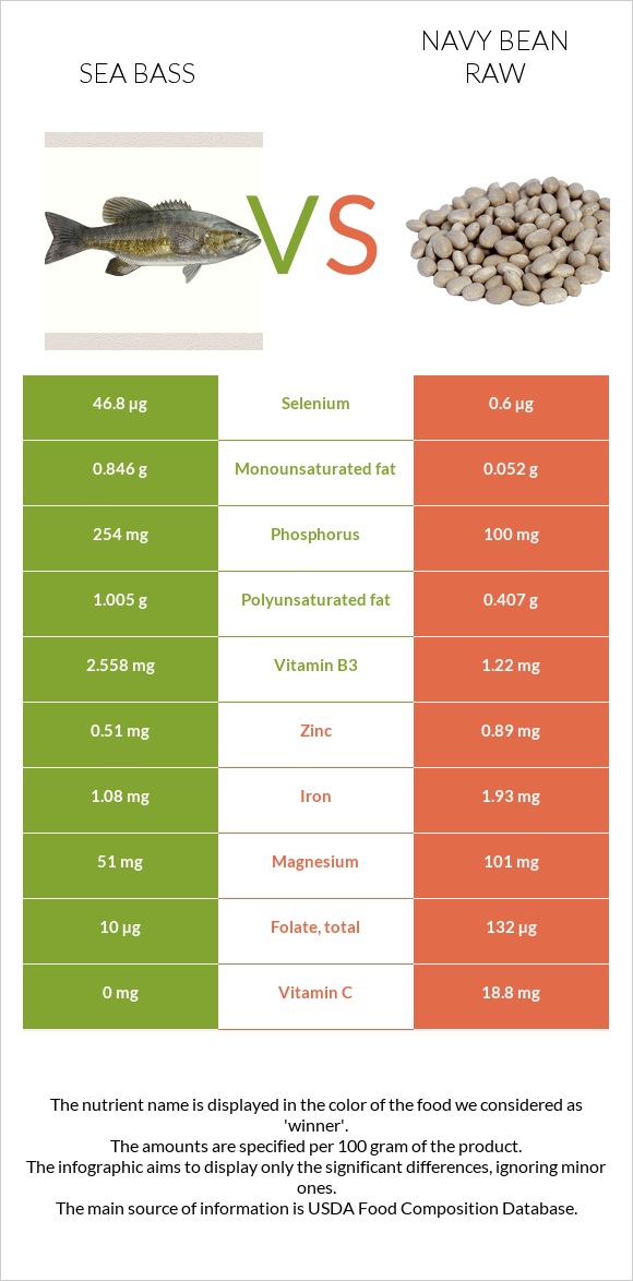 Bass vs Navy bean raw infographic