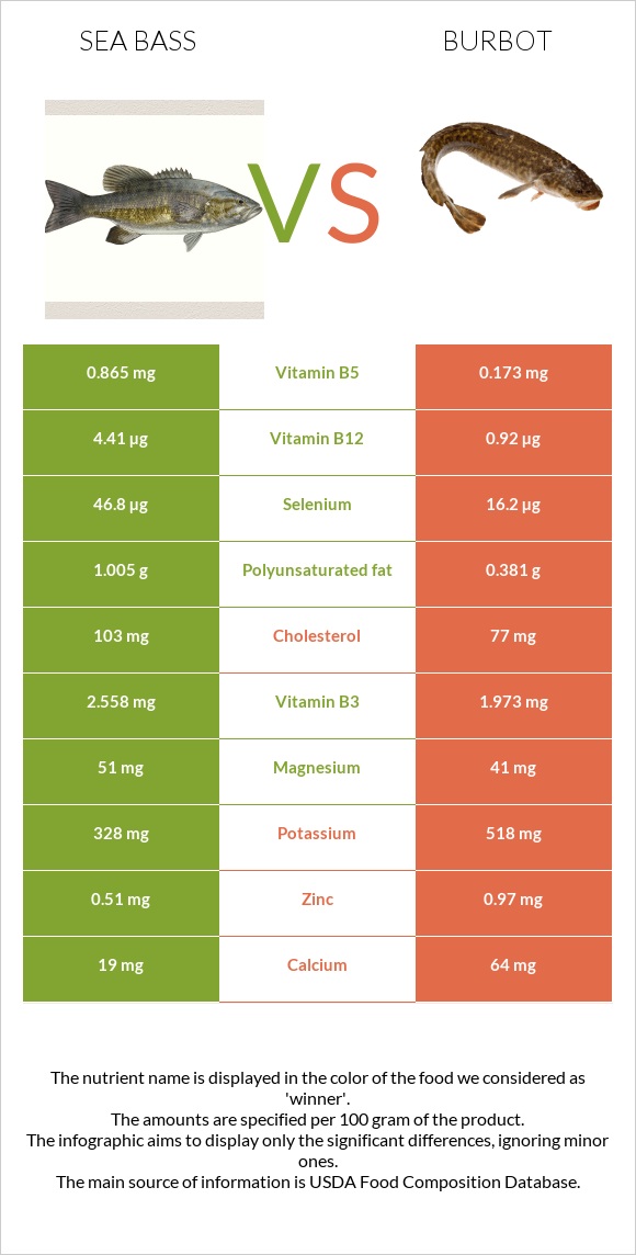 Bass vs Burbot infographic