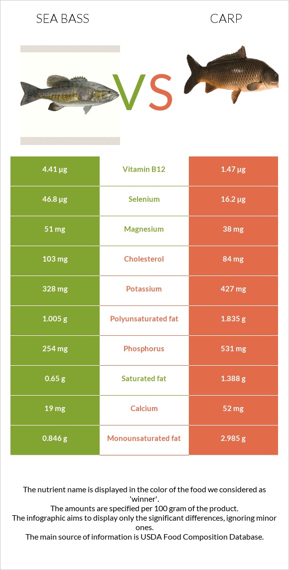 Bass vs Carp infographic