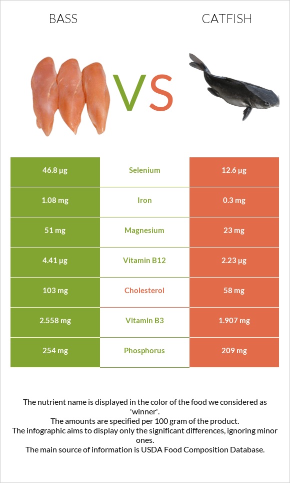 Bass vs Catfish infographic