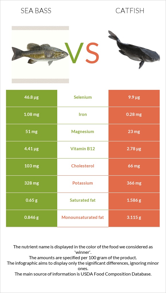 Bass vs Catfish infographic