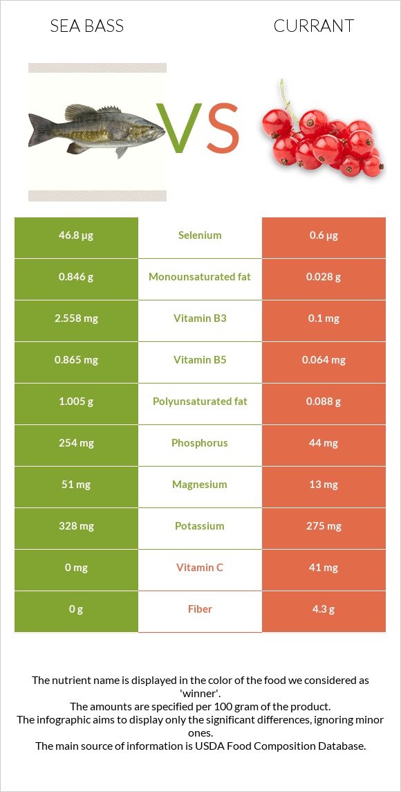 Bass vs Currant infographic