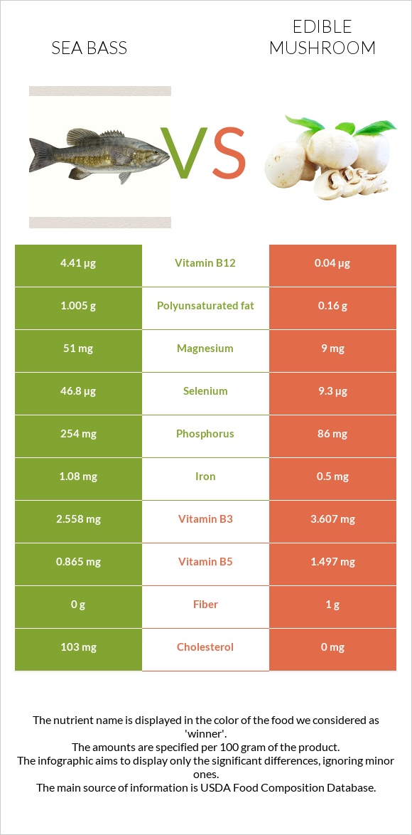 Sea bass vs Edible mushroom infographic