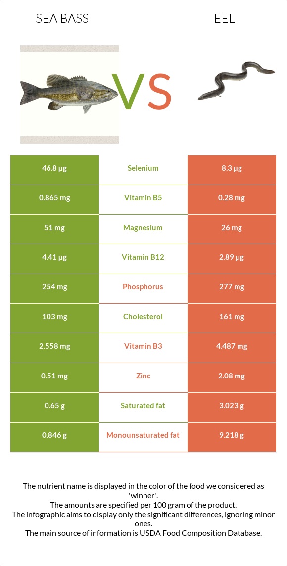 Bass vs Eel infographic