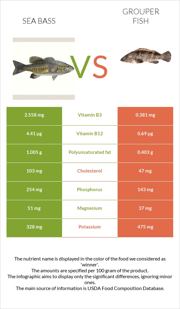 Sea bass vs Grouper fish infographic