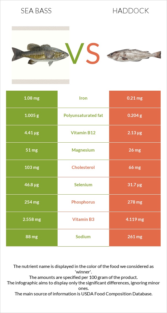 Bass vs Haddock infographic