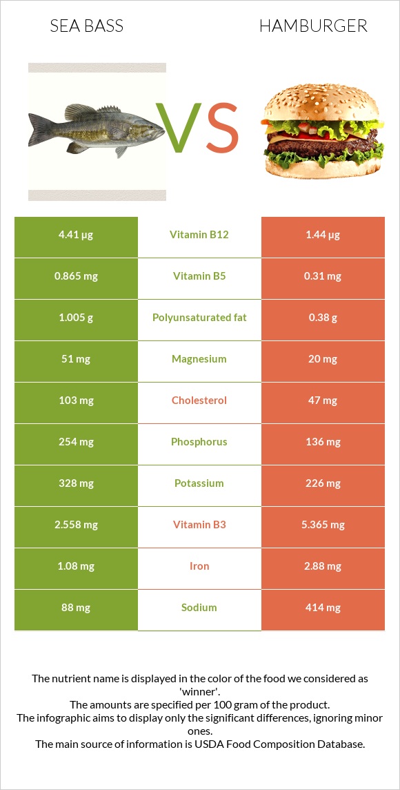 Sea bass vs Hamburger infographic