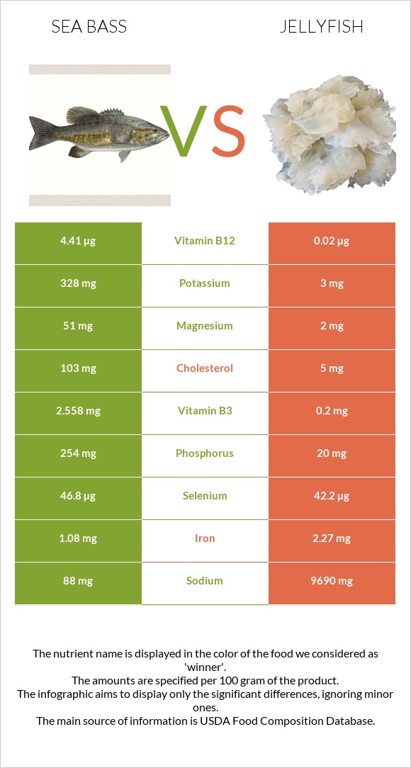 Bass vs Մեդուզա infographic