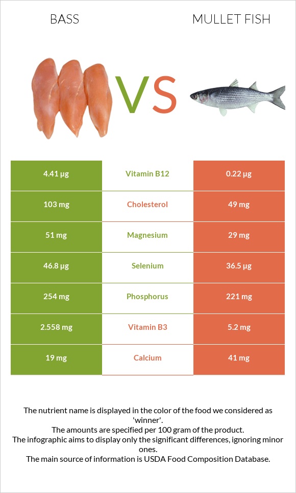 Bass vs Mullet fish infographic