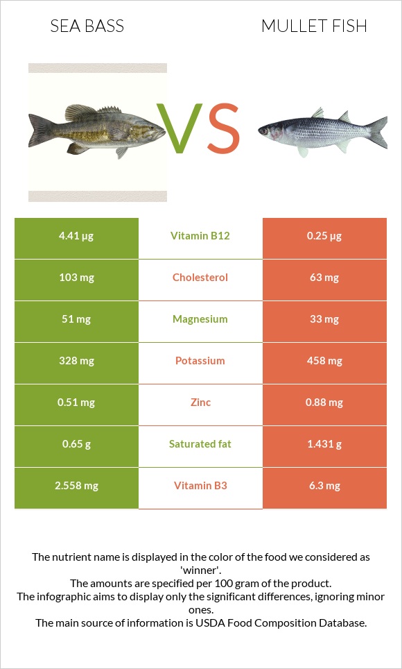 Sea bass vs Mullet fish infographic