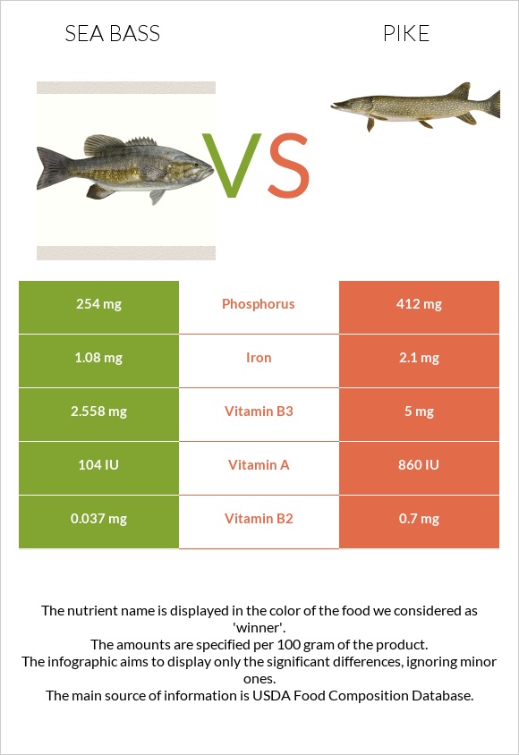 Bass vs Pike infographic