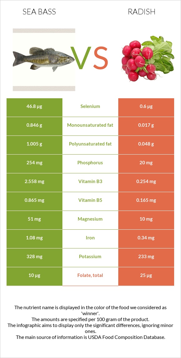 Sea bass vs Radish infographic