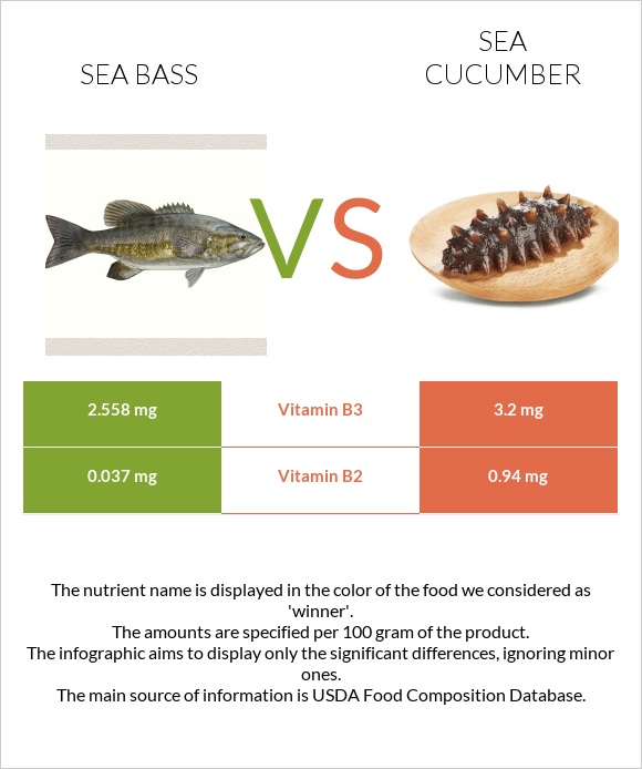 Sea bass vs Sea cucumber infographic