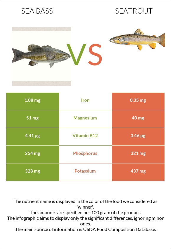 Bass vs Seatrout infographic