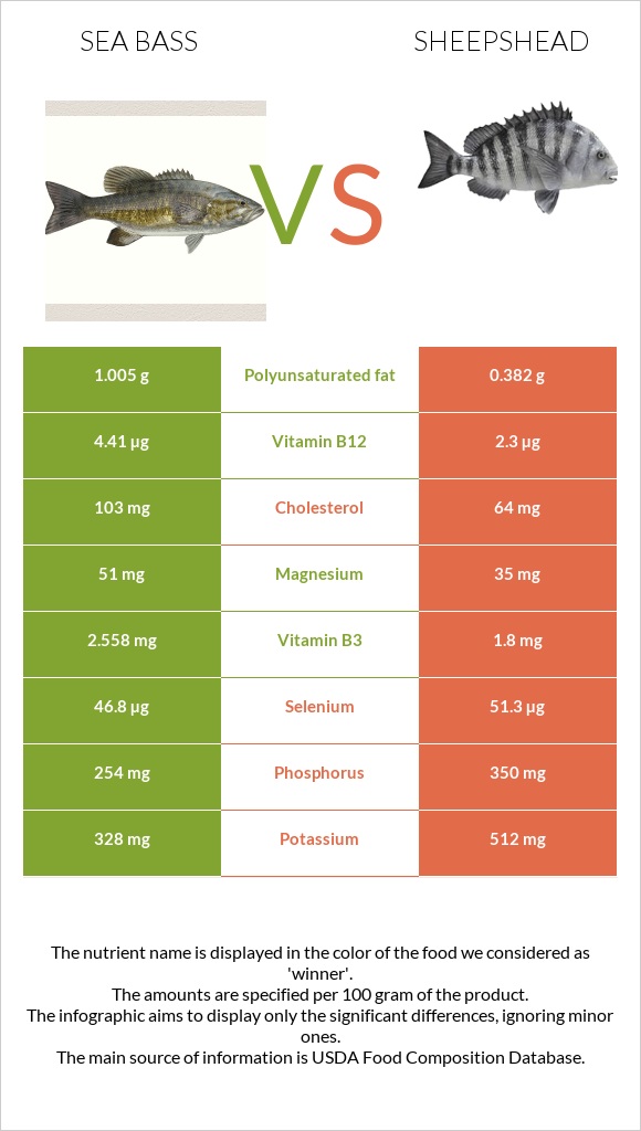 Bass vs Sheepshead infographic