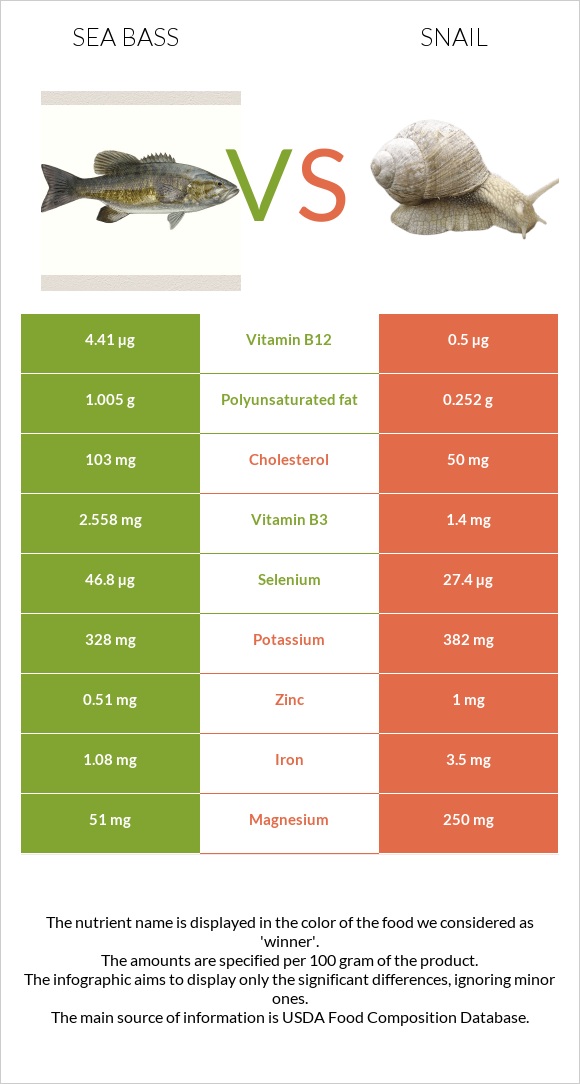 Sea bass vs Snail infographic