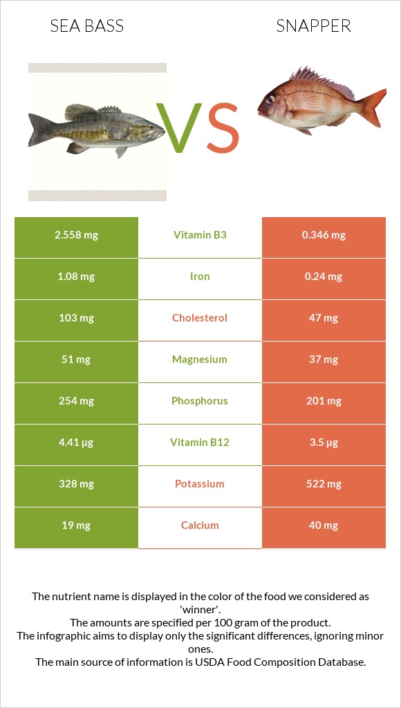 Bass vs Snapper infographic