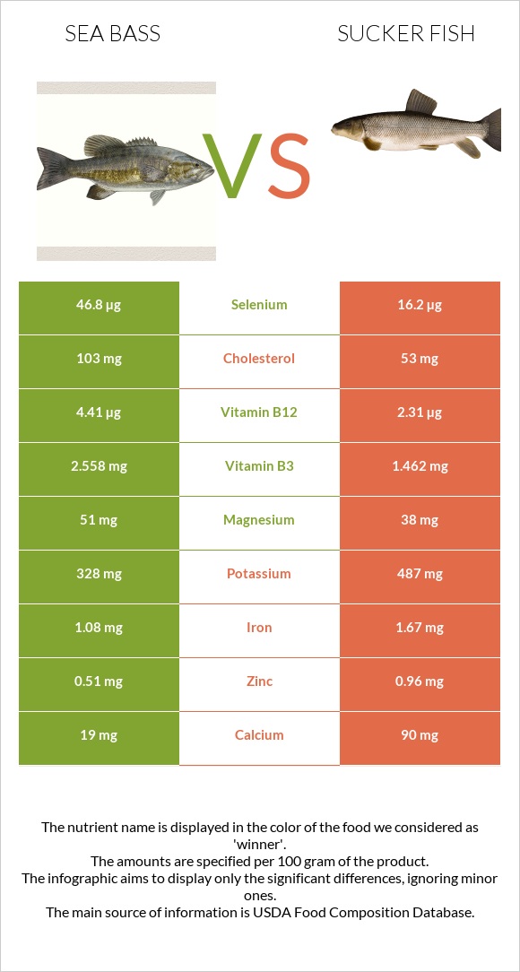 Bass vs Sucker fish infographic