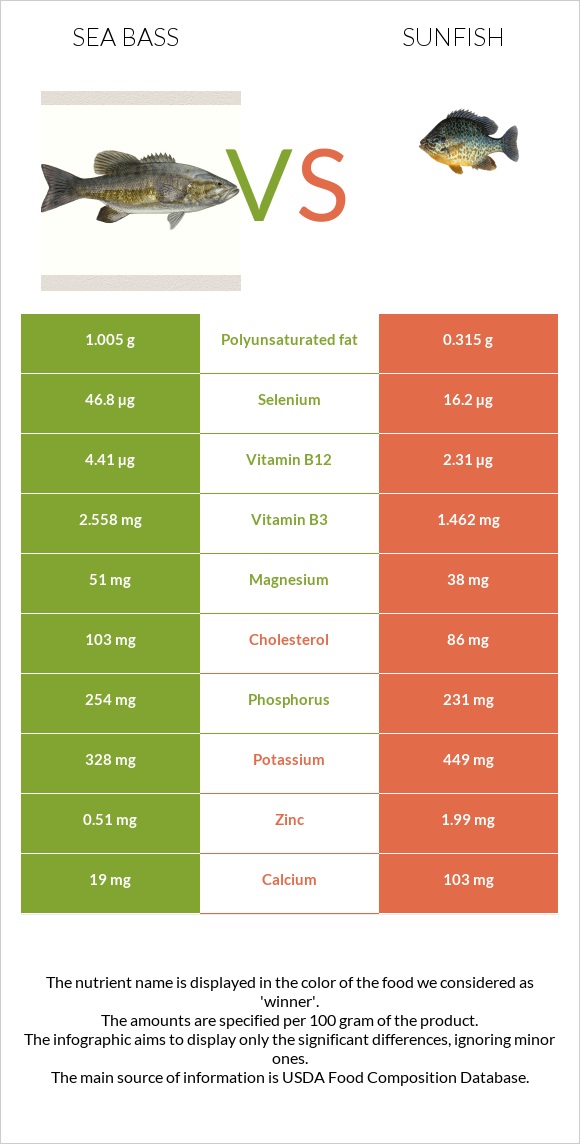 Sea bass vs Sunfish infographic