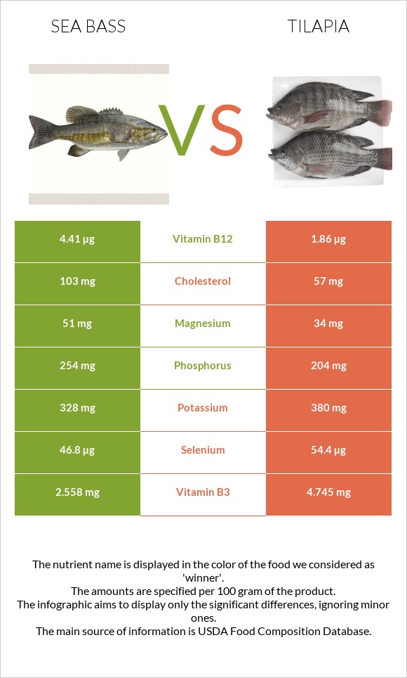 Bass vs Tilapia infographic