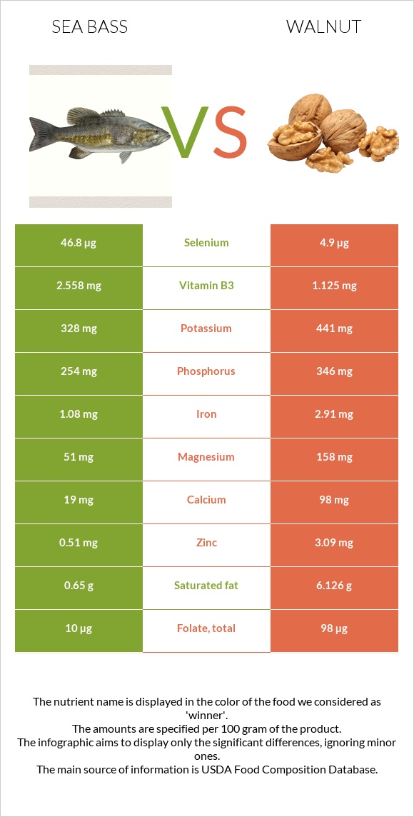 Sea bass vs Walnut infographic